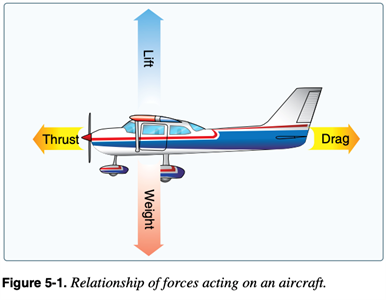 Primary Flight