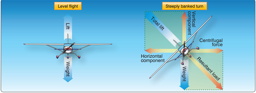 Primary Flight