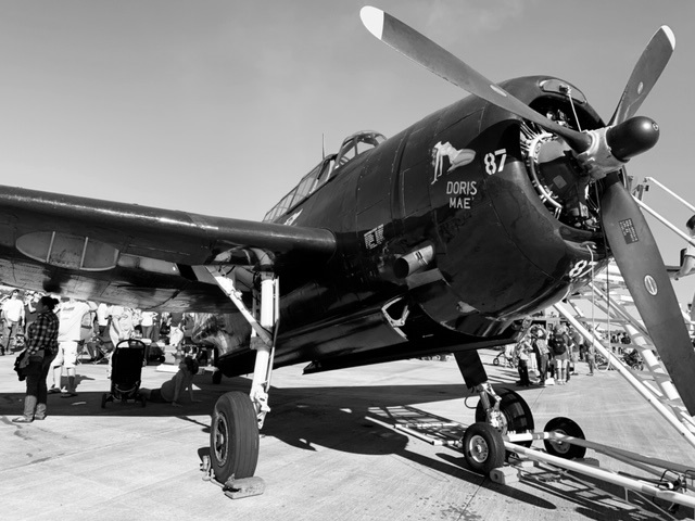 Primary Flight Control